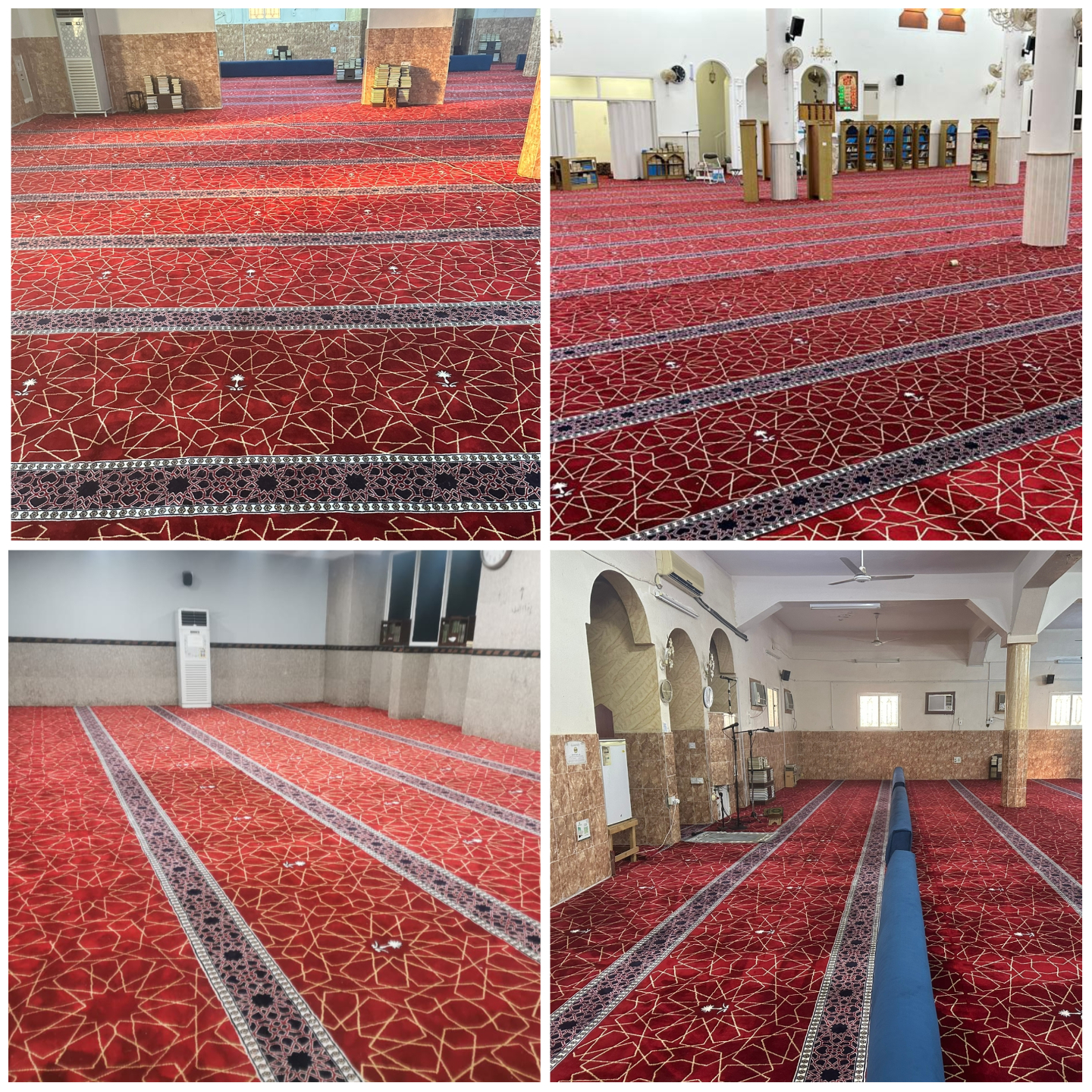 Collage Maker-24-Jan-2023-01.50-PM - نسخة.jpg