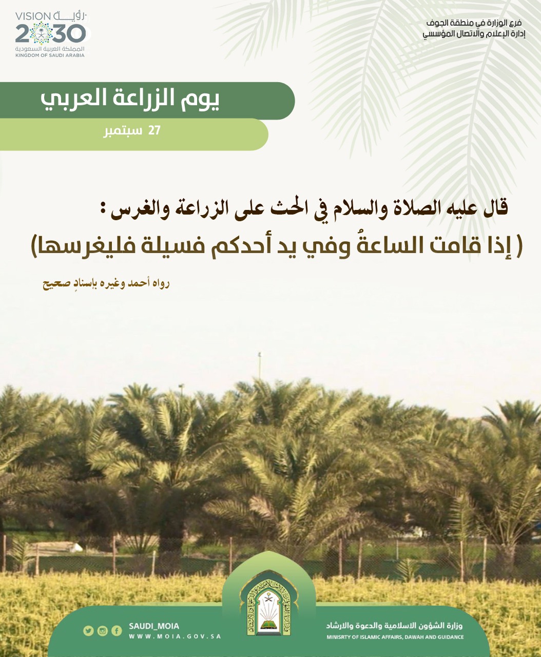 4.jfif