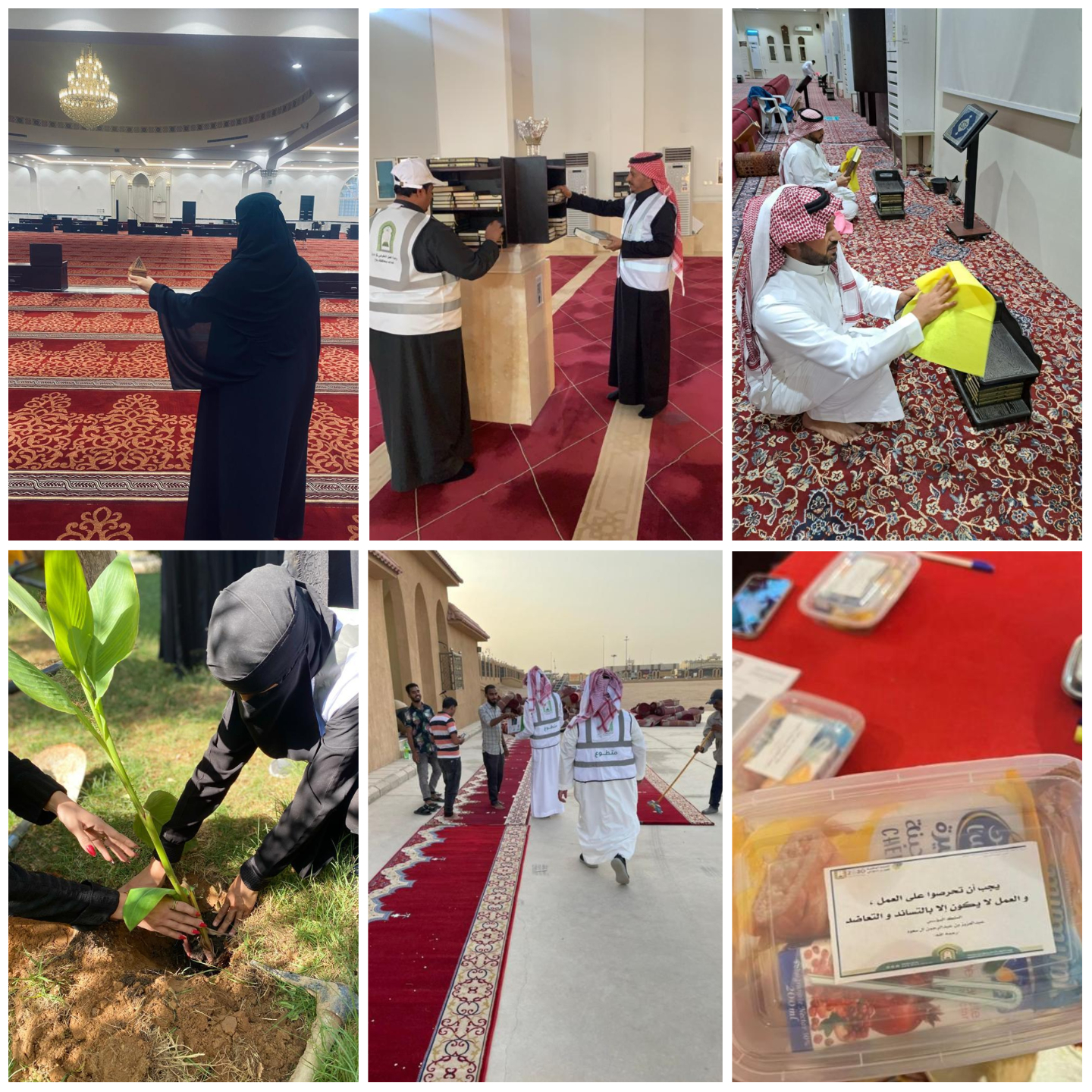 Collage Maker-05-Feb-2023-02.34-PM.jpg