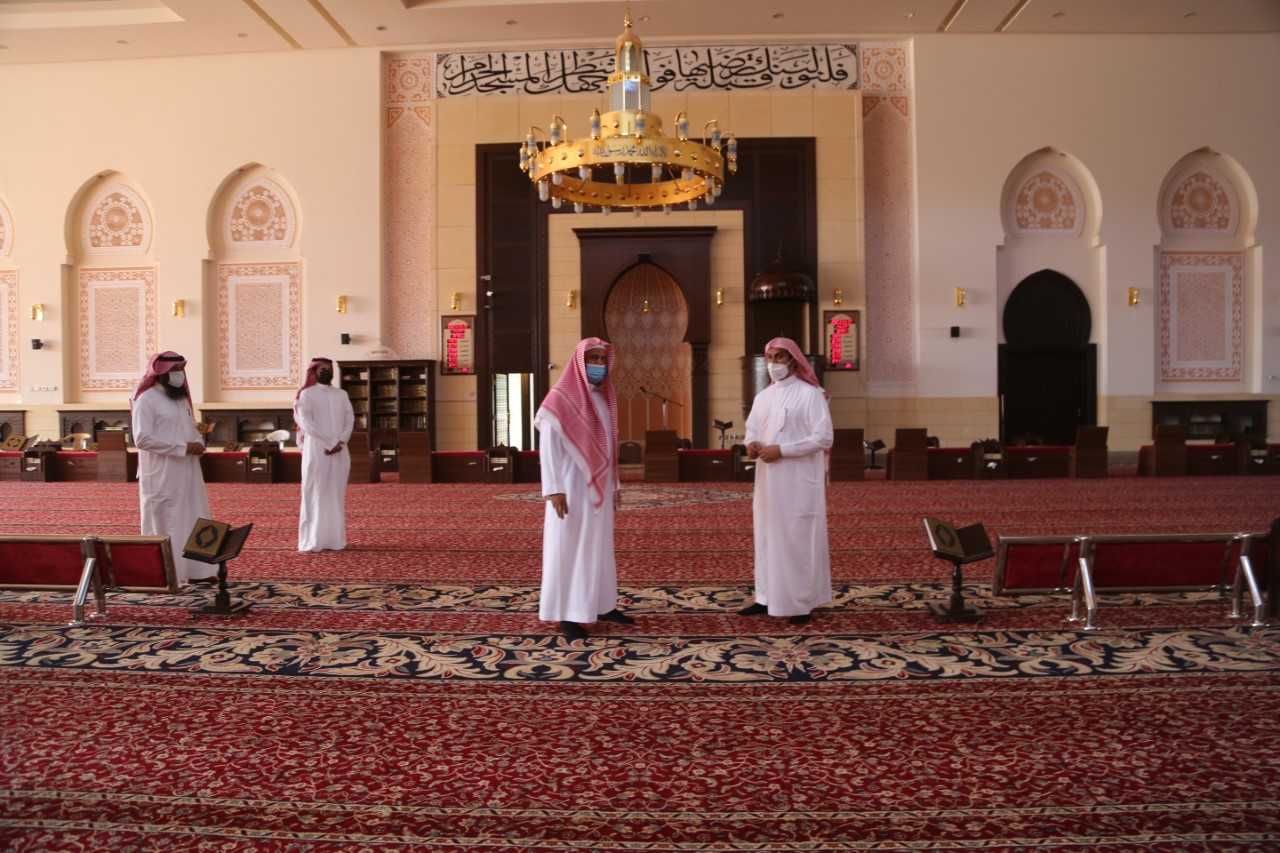 تنزيل (3).jpg