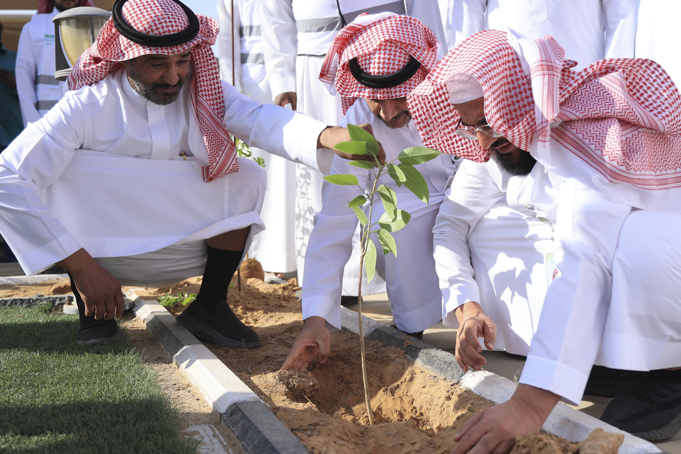 لقطات من الحملة (1).jpg