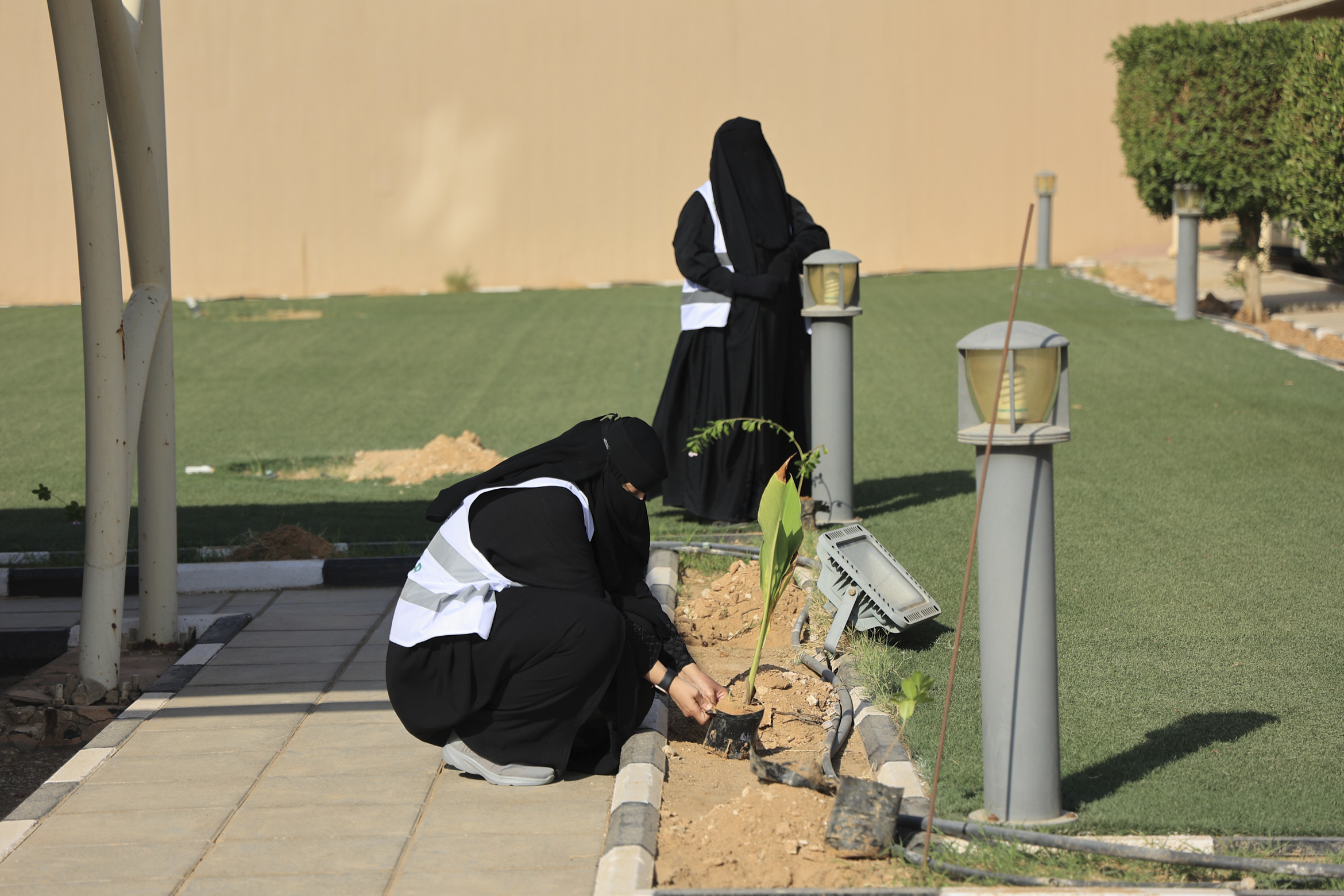 لقطات من الحملة (3).jpg