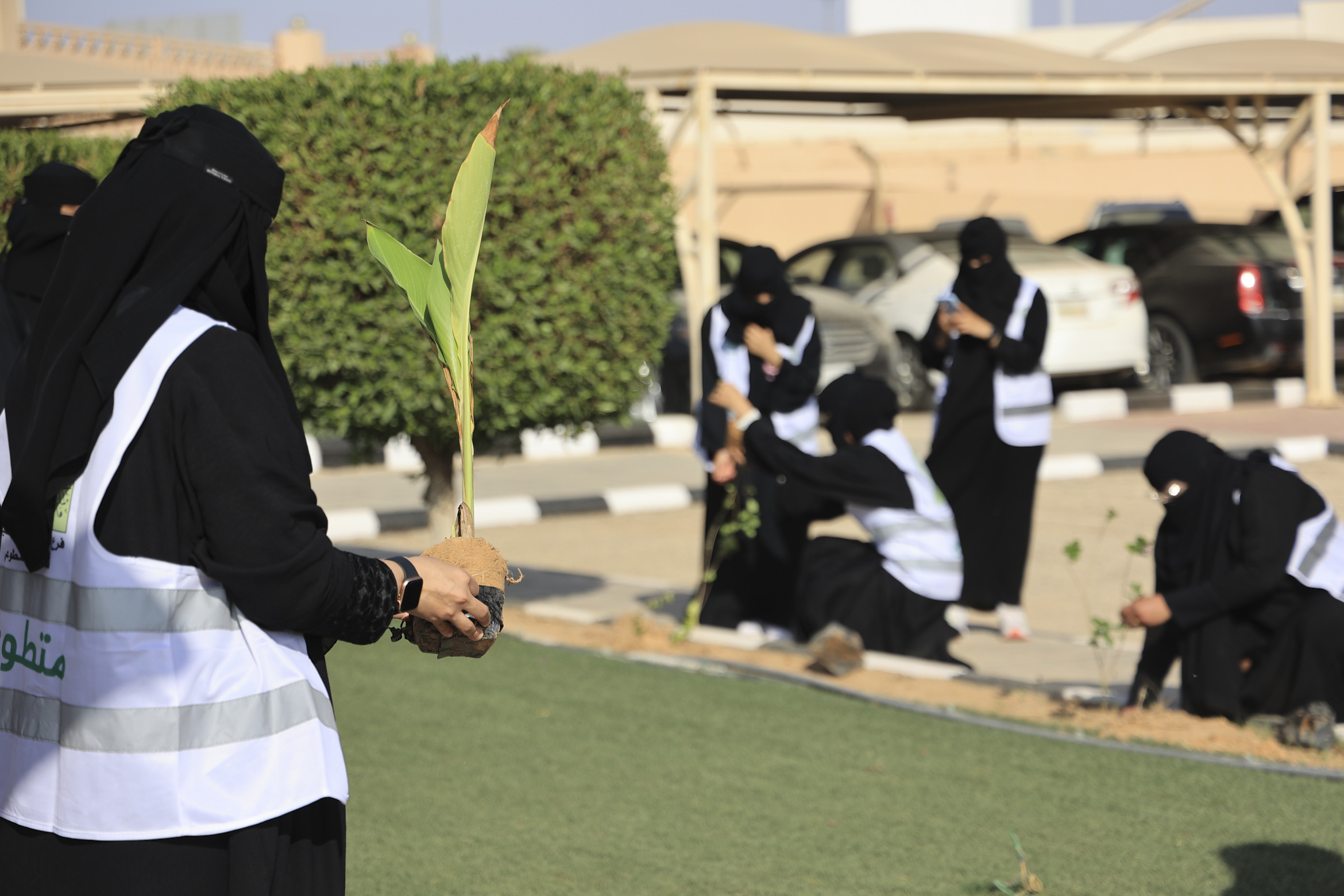 لقطات من الحملة (4).jpg